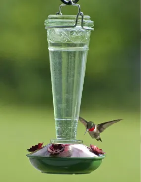 8 oz. Torchiere Glass Hummingbird Feeder