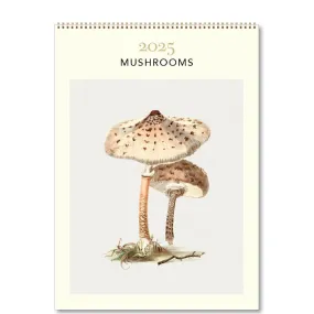 Medium Calendar - Mushrooms